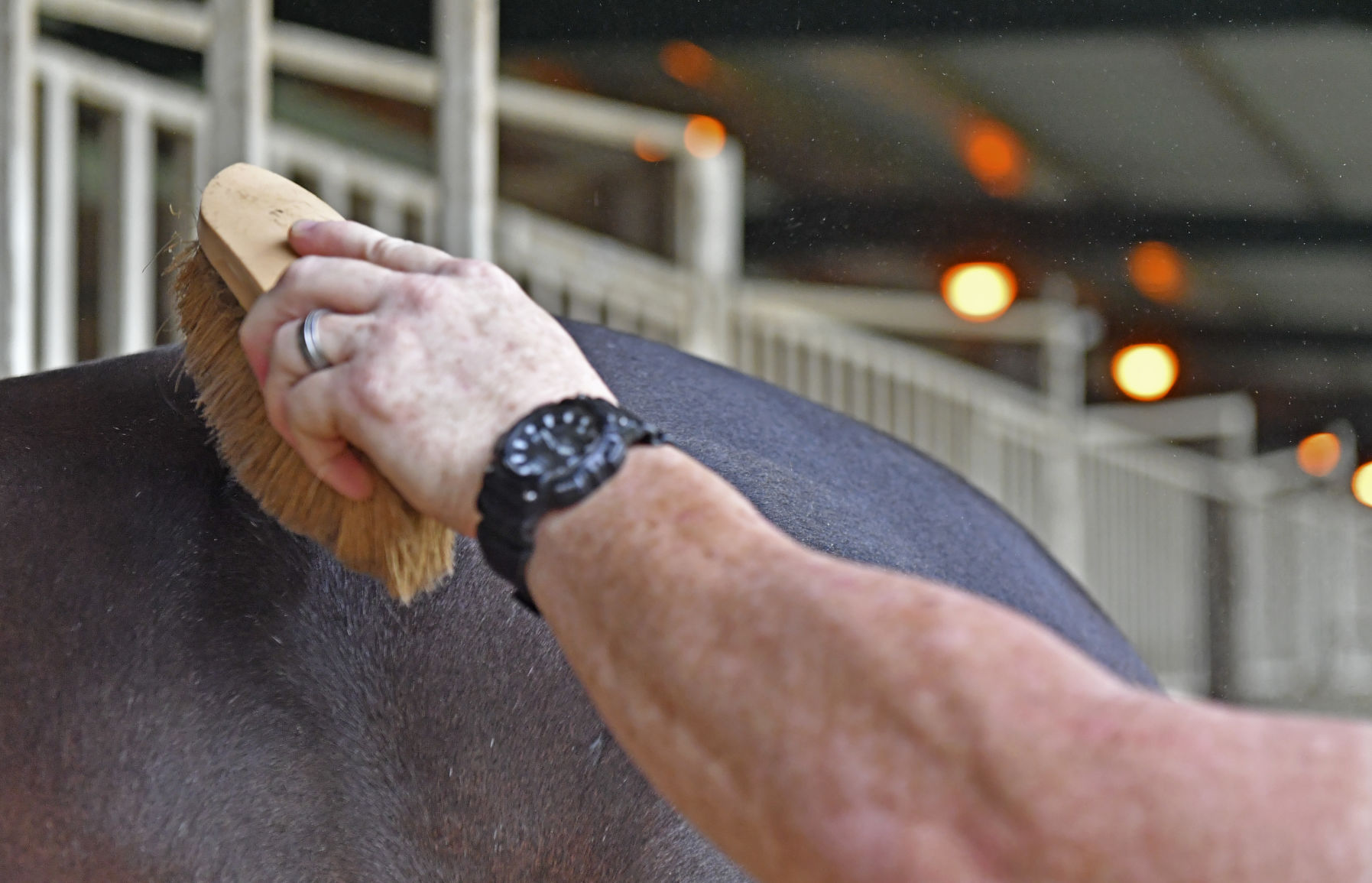 BR.brpdhorses.adv HS 013.JPG